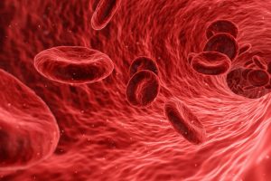 Health & Life Sciences